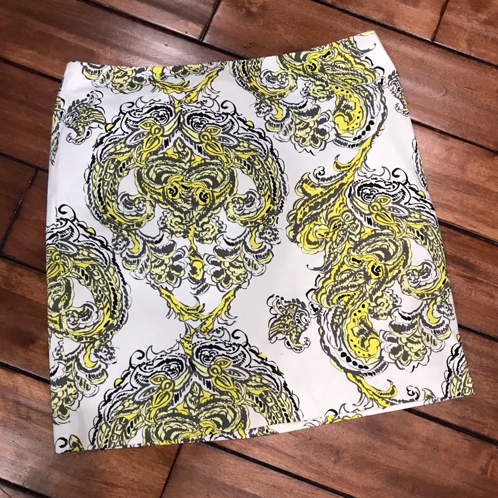 Ann Taylor Madison skirt - size 10T